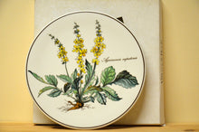 Charger l'image dans la galerie, Villeroy & Boch Botanica Untersetzer NEU