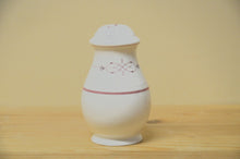 Load image into Gallery viewer, Villeroy & Boch Aragon Salzstreuer