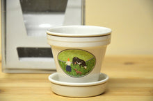Load image into Gallery viewer, Villeroy &amp; Boch Naif flower pot small NEW
