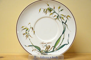 Villeroy &amp; Boch Botanica coffee set saucer without root