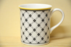 Villeroy &amp; Boch Audun promenade mug with handle NEW