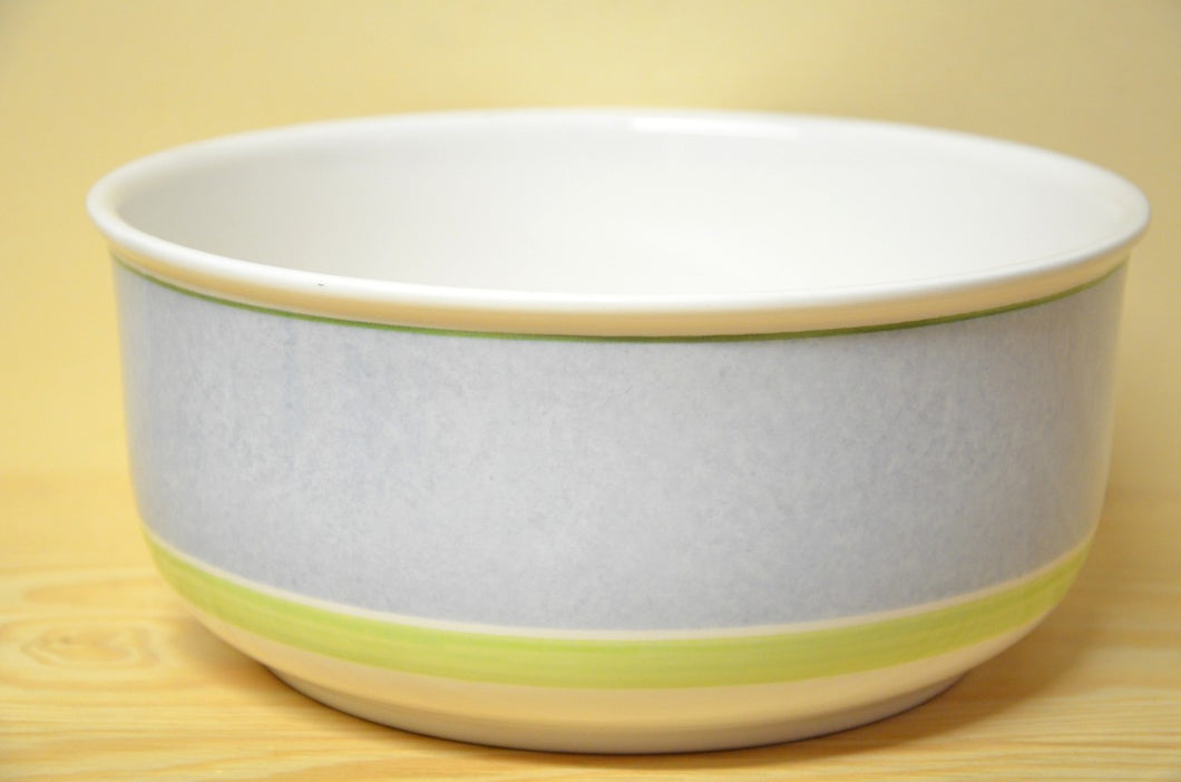 Villeroy & Boch Twist Color bowl 20 cm NEW