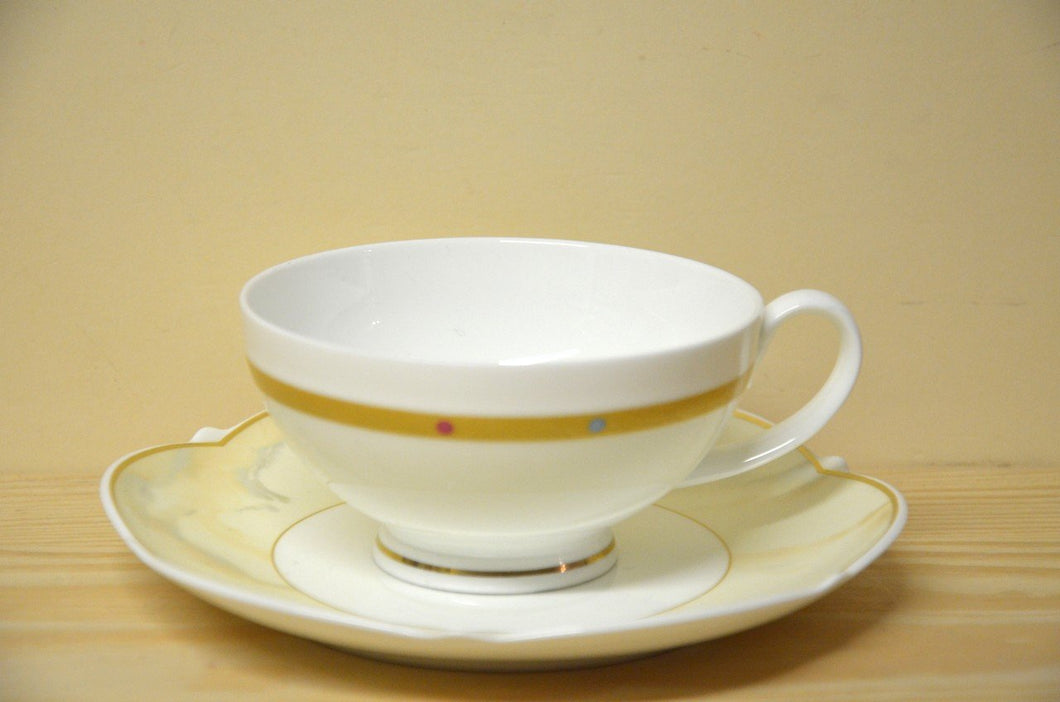Villeroy & Boch San Michele tea cup with saucer