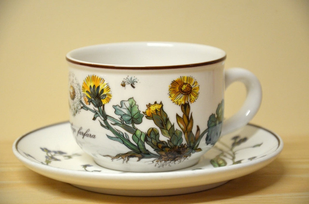 Villeroy & Boch Botanica tea set