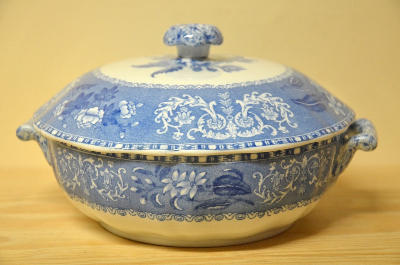 Spode camilla blue online