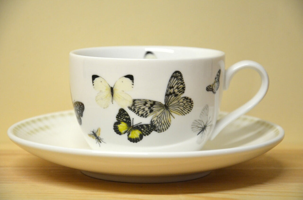 Hutschenreuther Lots of Stripes Butterfly cappuccino cup with saucer NEW