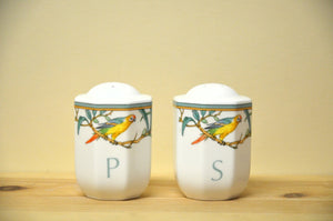 Villeroy &amp; Boch Amazona salt / pepper shaker