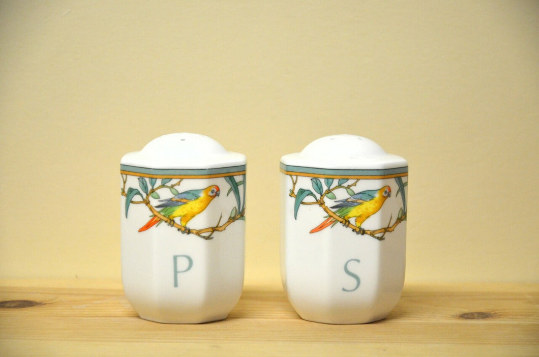 Villeroy & Boch Amazona salt / pepper shaker